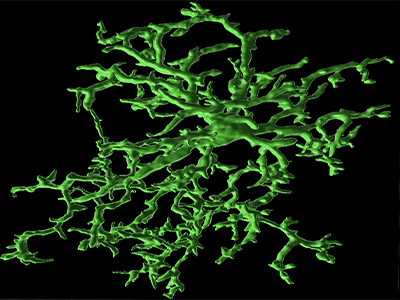 Super-Resolution Imaging Core Experiment image.